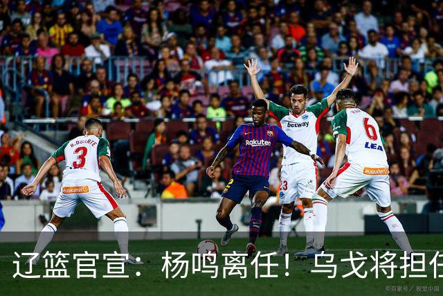 辽篮官宣：杨鸣离任！乌戈将担任辽宁男篮主帅